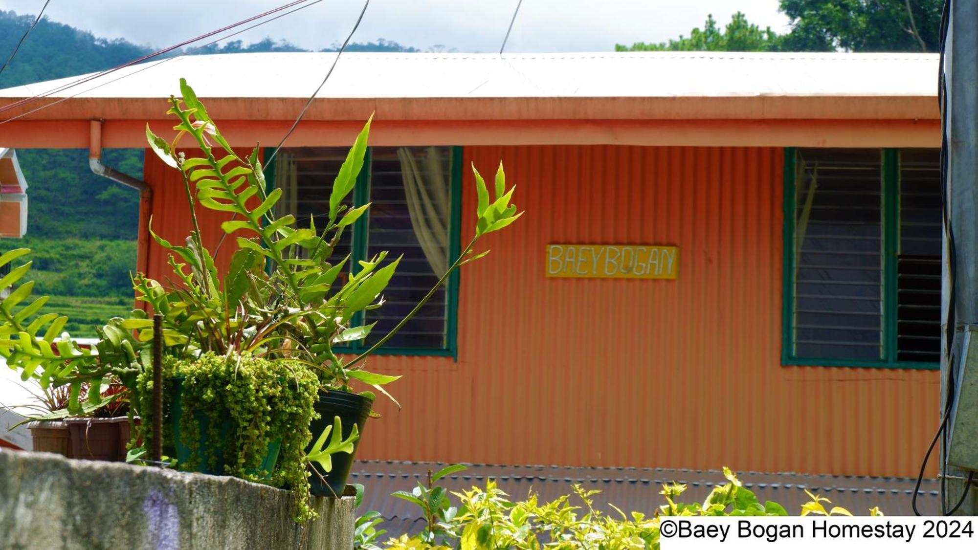 Baey Bogan Homestay Sagada Exterior foto