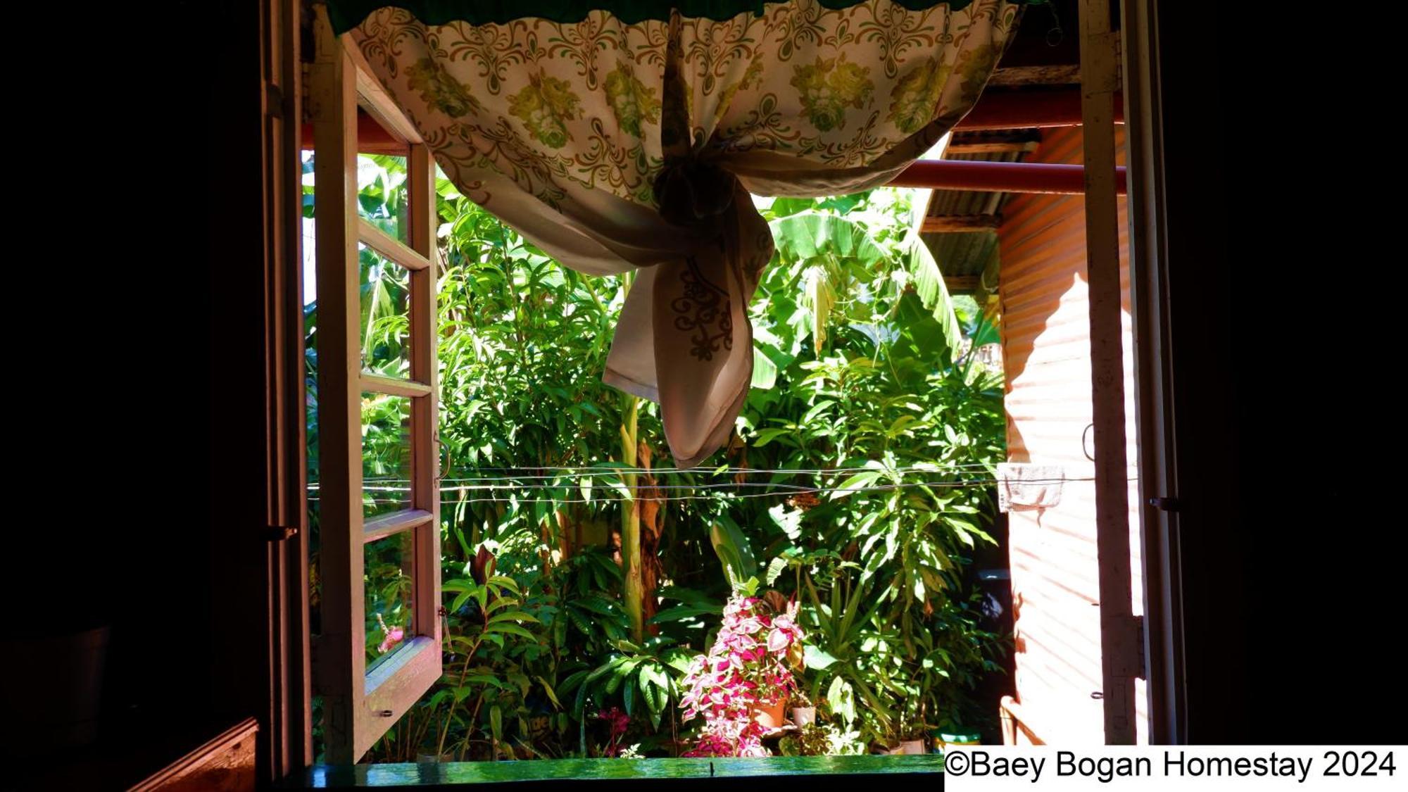 Baey Bogan Homestay Sagada Exterior foto